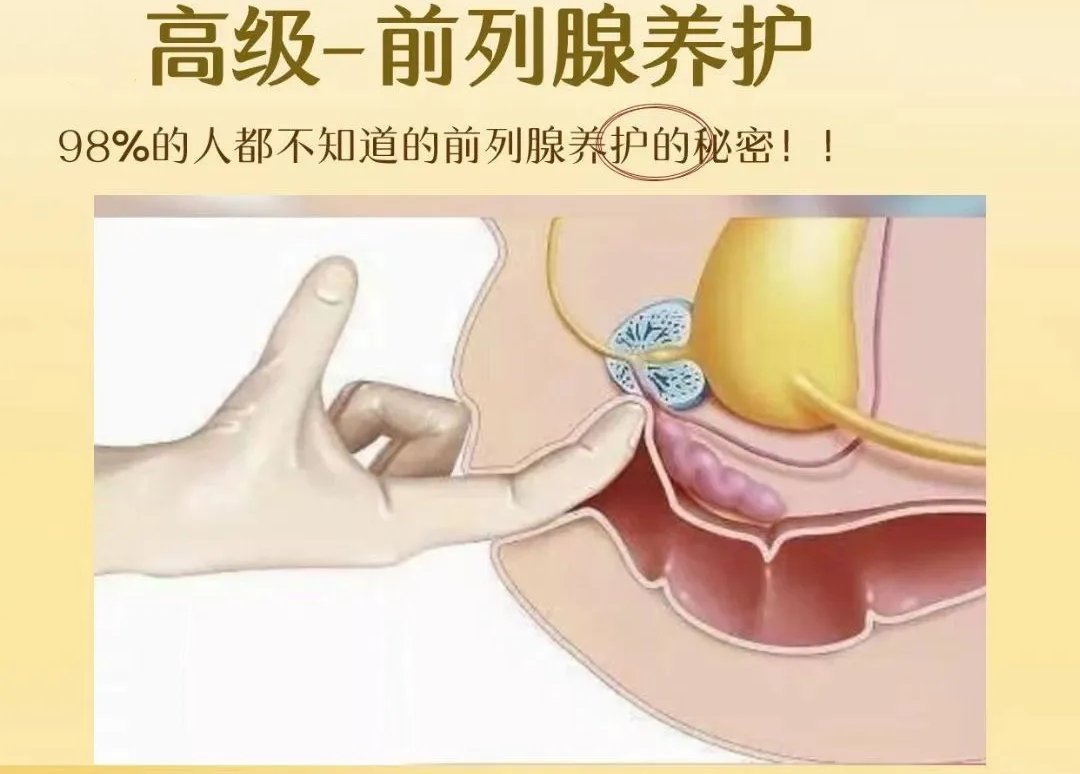 抓龙筋过程中前列腺养护按摩是什么项目